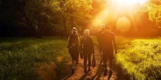 Group hiking through the forest during the retreat
